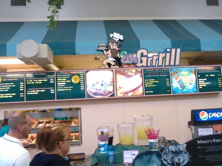 Expensive food at the zoo