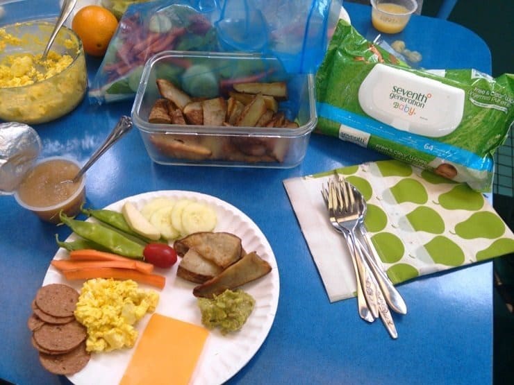 How to Pack a Real Food Lunch at the Zoo no expensive junk food