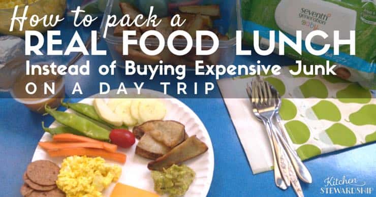 How to pack a Real Food Lunch Instead of Buying Expensive Junk When Traveling