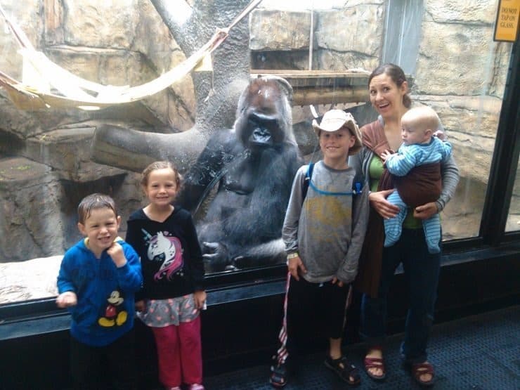 The Kimballs and their gorilla