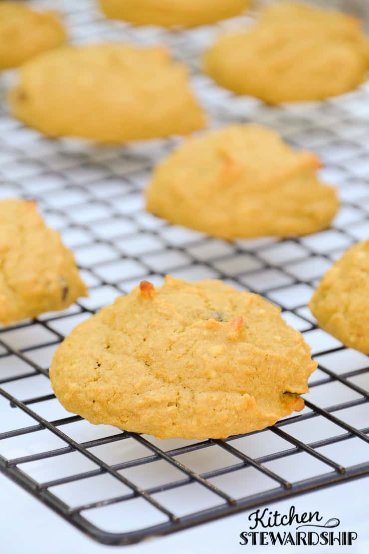 Gluten Free Simple Soaked Squash Cookie Recipe