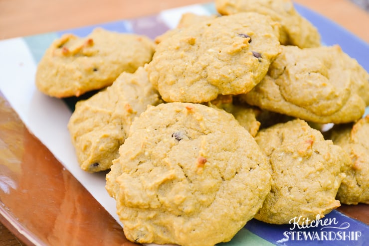 Gluten-Free Simple Soaked Squash Cookie Recipe