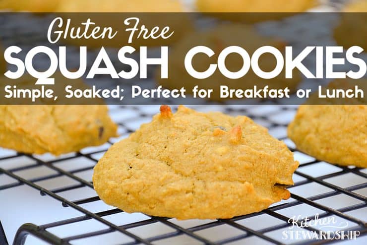 Gluten Free Simple Soaked Squash Cookie Recipe
