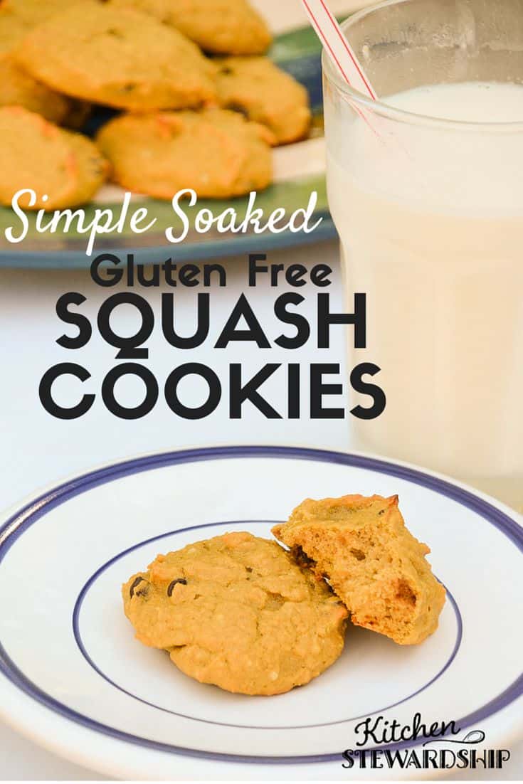 Gluten Free Simple Soaked Squash Cookie Recipe