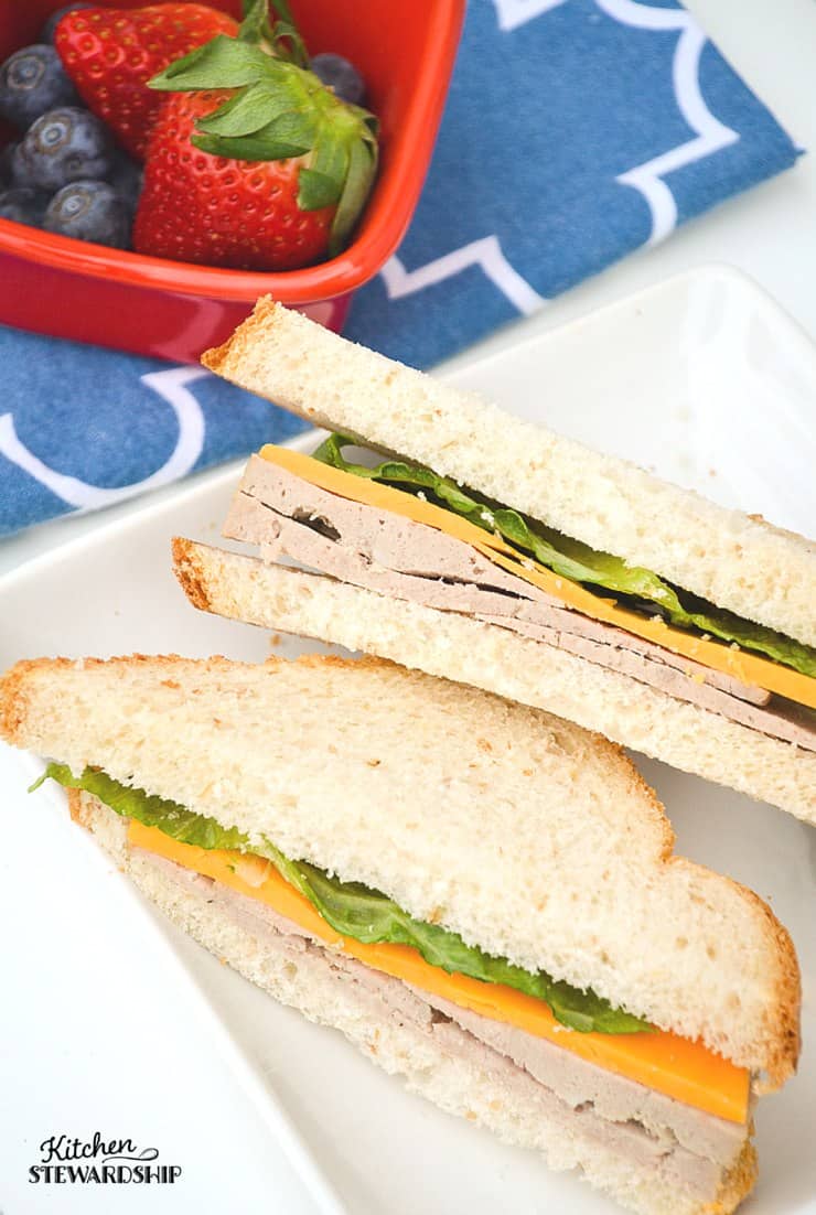 Homemade Lunch Meat 3