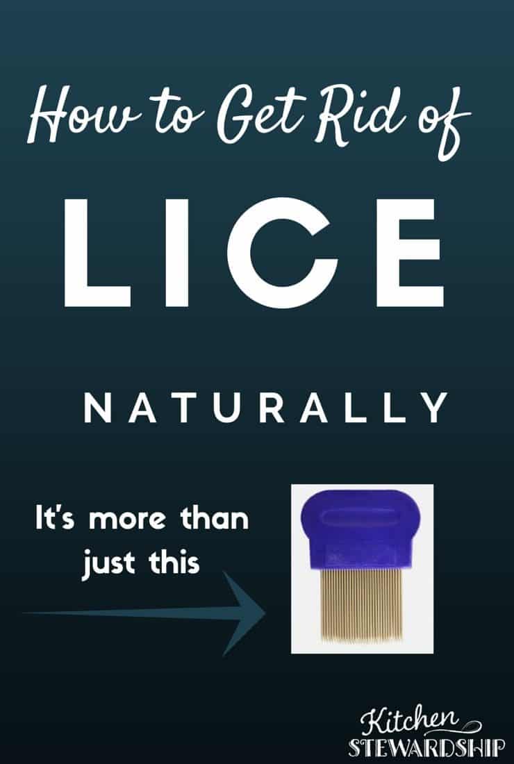How to Get Rid of Lice Naturally I hope I never ever need this info but I gotta know about it
