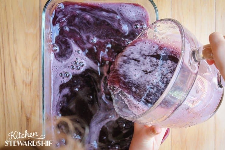 homemade gelatin squares