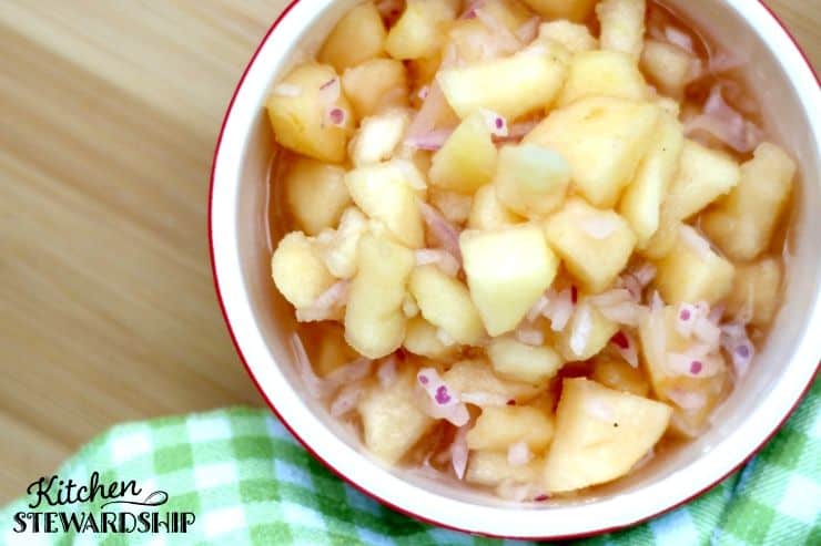 Easy Naturally Fermented Apple Salsa Recipe