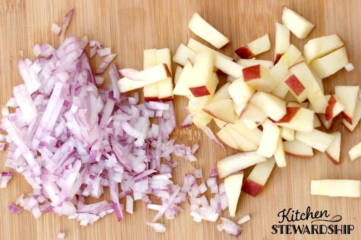 fermented apple salsa ingredients onion and apple