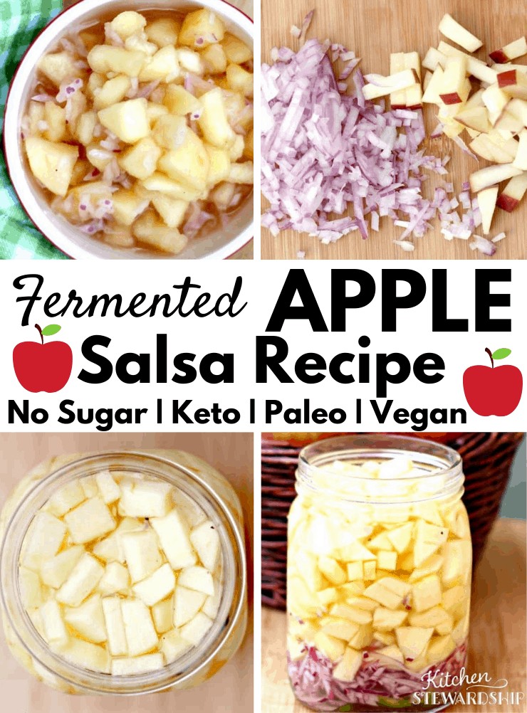 salsa fermented apple recipe