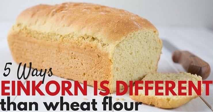 einkorn flour