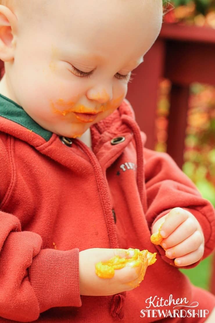 Creamy Ginger Carrot Puree for a Squooshi Reusable Food Pouch