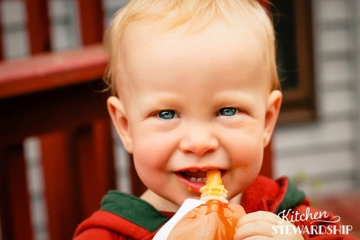 Creamy Ginger Carrot Puree for a Squooshi Reusable Food Pouch 50 Edit