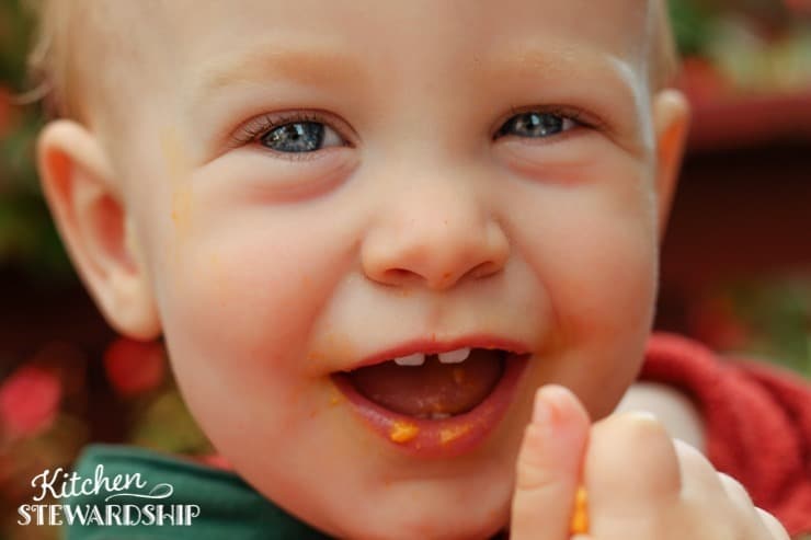 Creamy Ginger Carrot Puree for a Squooshi Reusable Food Pouch