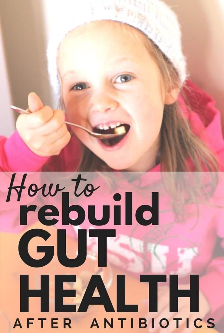 How to Rebuild Gut Health After Antibiotics children and adults need to fix their gut bacteria