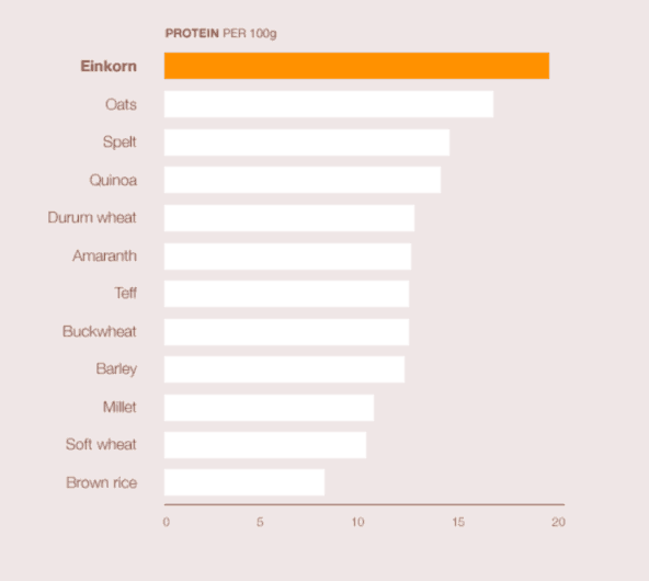 Jovial wheat einkorn protein info