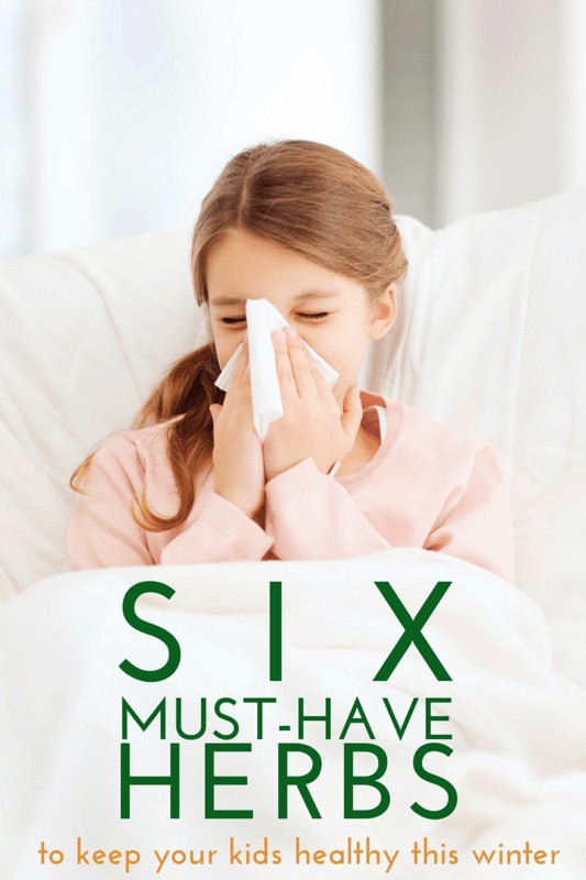 6 must have winter herbs