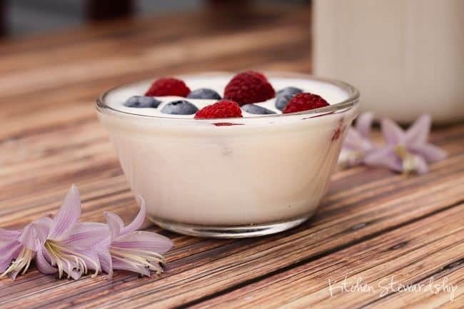 Homemade-Yogurt-made-from-Commercial-Yogurt-Cultures.jpg