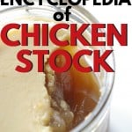 The Encyclopedia of Chicken Stock - everything you need to know to make homemade bone broth, from getting the best gel to making it the most frugal possible
