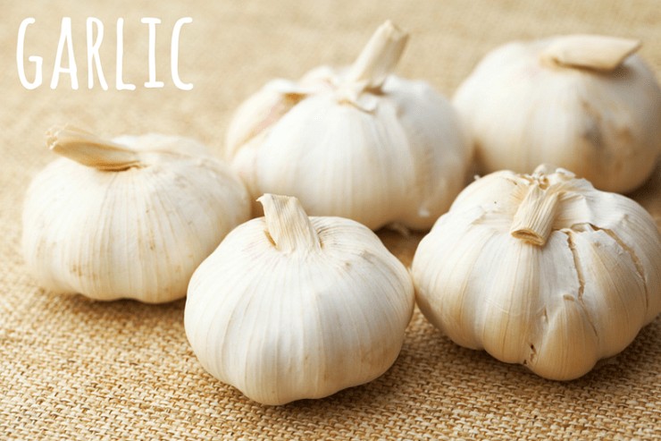 garlic bulbs