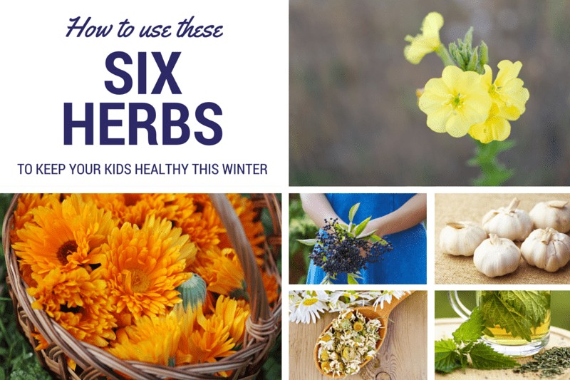 how to use these six winter herbs