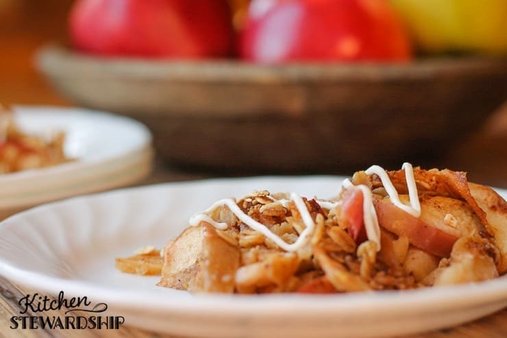 Homemade baked apple crisp on a plate with apples in the background