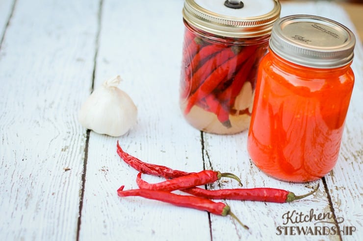Homemade Cayenne Pepper Hot Sauce like Franks