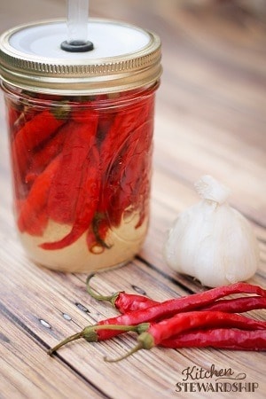 Homemade Fermented Cayenne Pepper Hot Sauce like Franks but with healthy probiotics