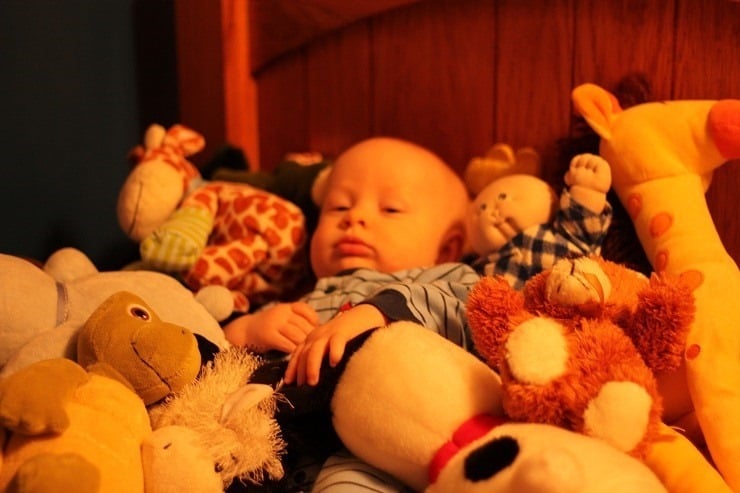 Too many stuffed animals