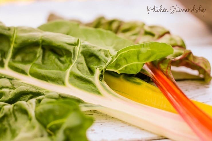 Rainbow chard leaves
