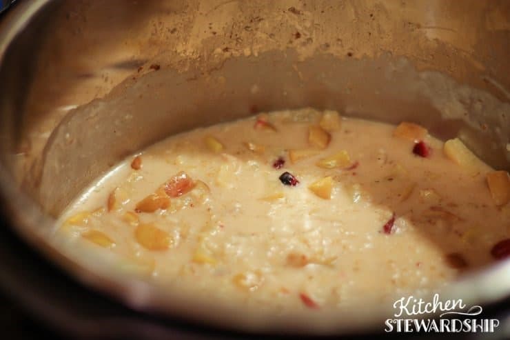 Instant Pot recipe for cranberry apple steel cut oats