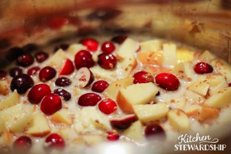 Instant Pot recipe for cranberry apple steel cut oats