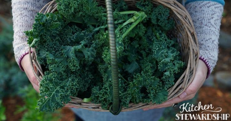 Basket of kale