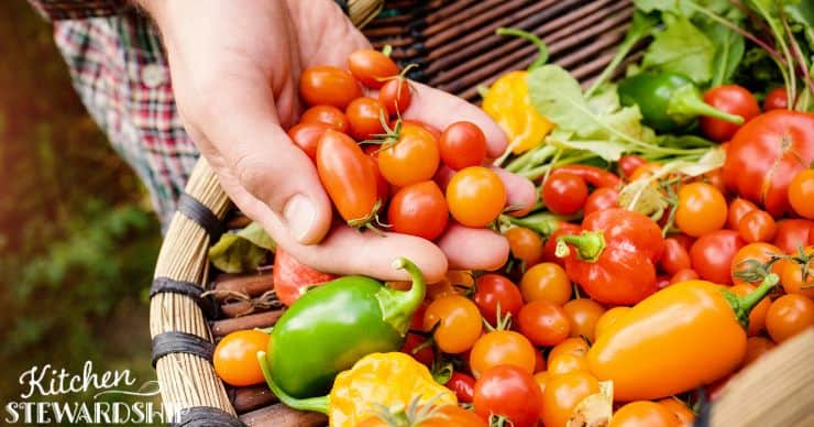 tomatoes and peppers