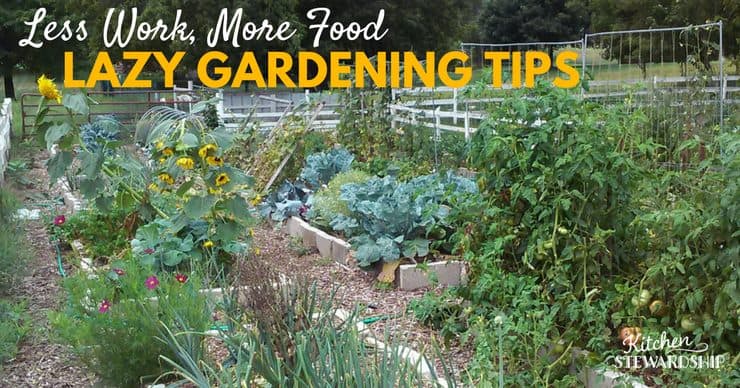 Capture rain, sort compost, and don't mow your lawn. Learn our secrets to lazy gardening!