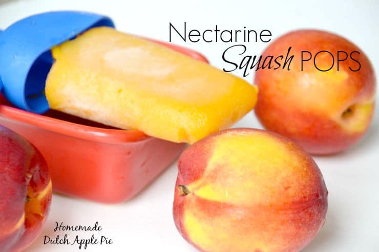 Nectarine Squash Pops Homemade Dutch Apple Pie