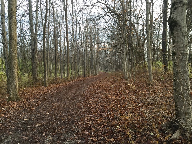 4 easy tips you need to get dinner on the table while dealing with depression or sickness.