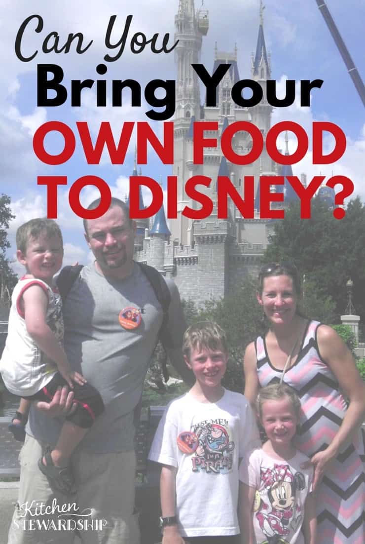 Can You Bring Your Own Food to Disney