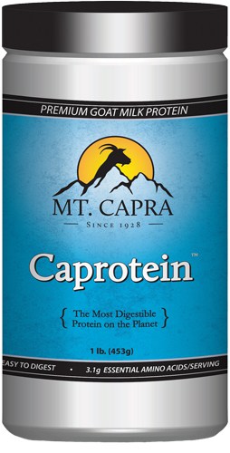 Best Natural Real Food Protein Powder