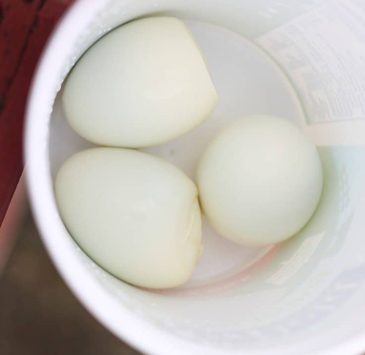 Hard boiled eggs for lunch at Disney World in a throwaway container