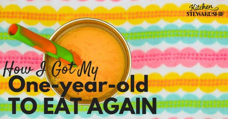 How I Got My One Year Old To Eat Again 2