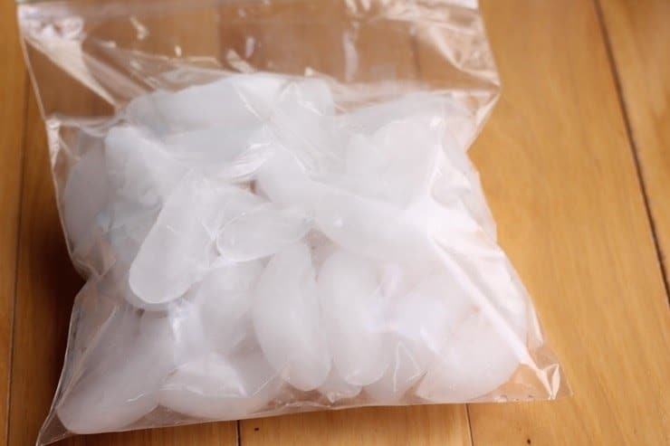Ice in bags for Disney lunch