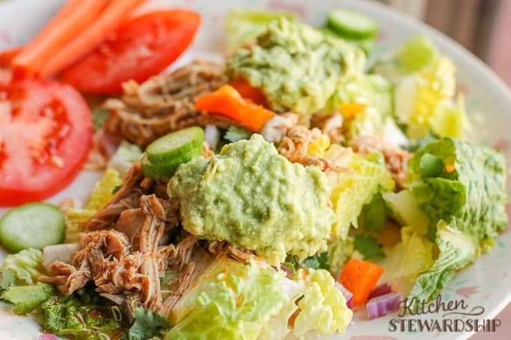 Instant Pot Pulled Chicken Taco meat from Live Simply meals a man can make