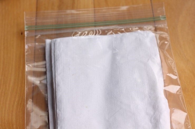 Napkins for Disney lunch