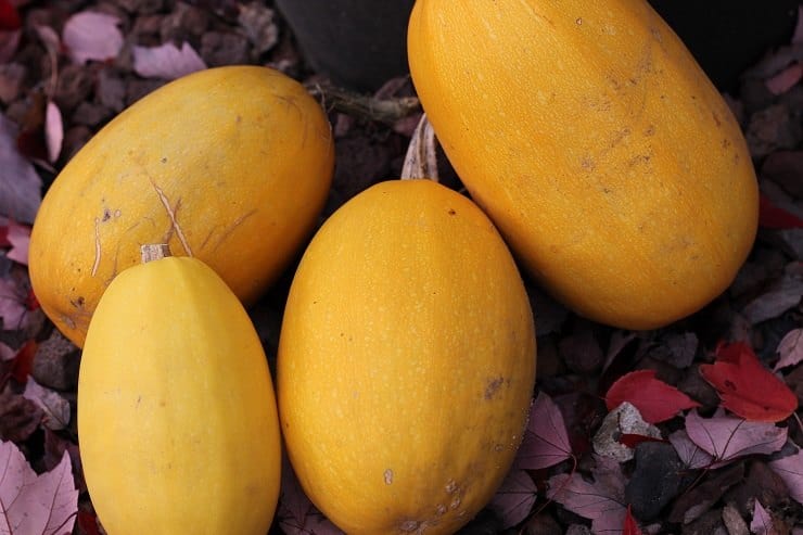 Spaghetti Squash