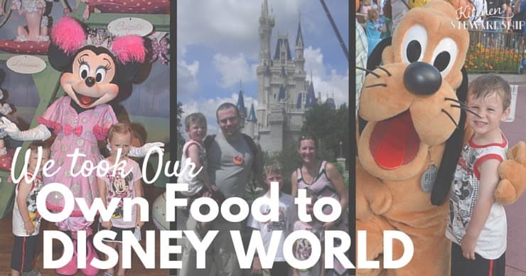 We Took Our Own Food to Disney