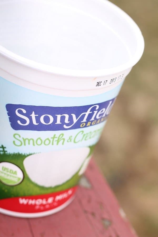 big yogurt tub for Disney lunch