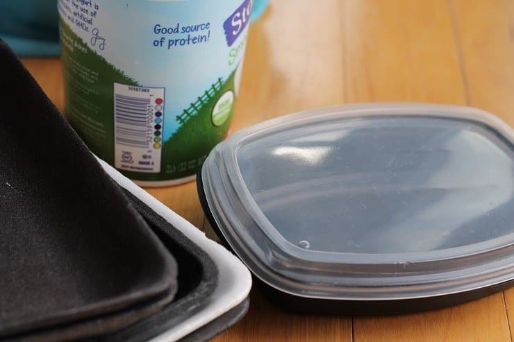 examples of disposable items you might have from your travels to use to pack a theme park lunch