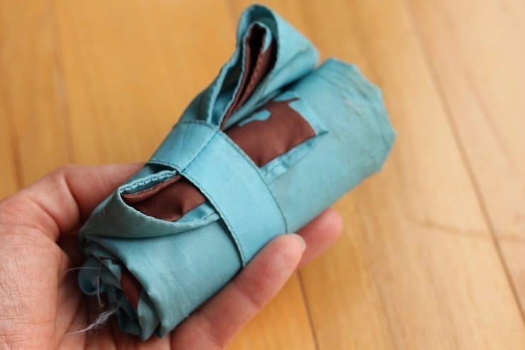 rolled up Envirosax reusable bag to take your lunch in at a theme park