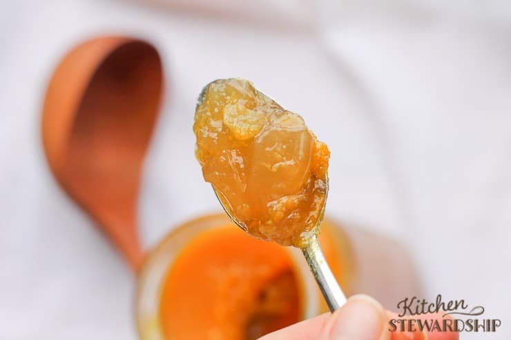 Bone Broth with Serious Gel